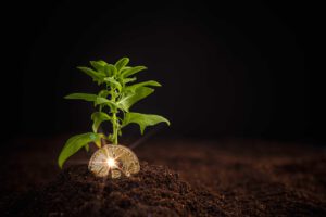 investeren in carbon credits cryptos